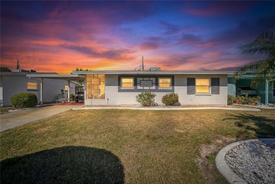 Mirror Lake Home For Sale in Sun City Center Florida