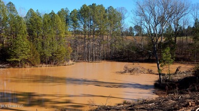 (private lake, pond, creek) Acreage For Sale in Gore Springs Mississippi