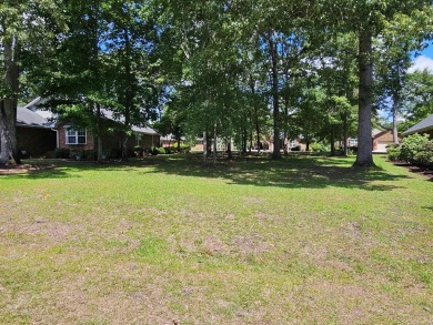 Lake Lot For Sale in Manning, South Carolina