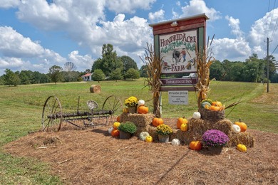 Lake Oconee Commercial For Sale in Madison Georgia