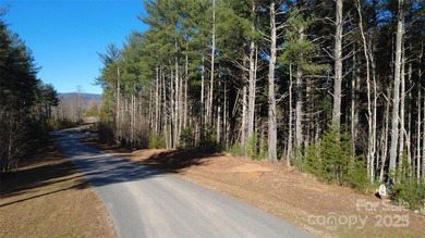 Come be a part of this wonderful gated lake community located by - photo 18