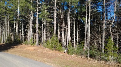 Come be a part of this wonderful gated lake community located by - photo 19