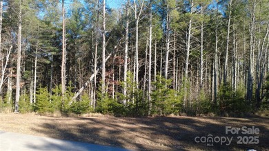 Come be a part of this wonderful gated lake community located by - photo 20