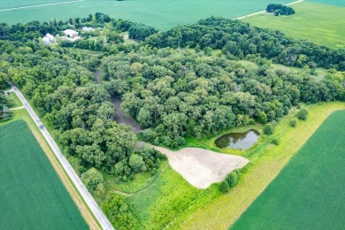 (private lake, pond, creek) Acreage For Sale in Foosland Illinois