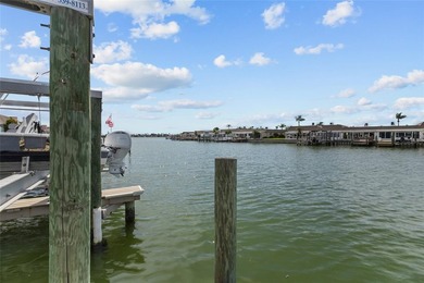 Nestled in one of St. Petersburg's premier GATED 55+ WATERFRONT - photo 46