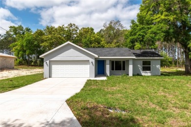 Silver Lake - Marion County Home For Sale in Ocklawaha Florida