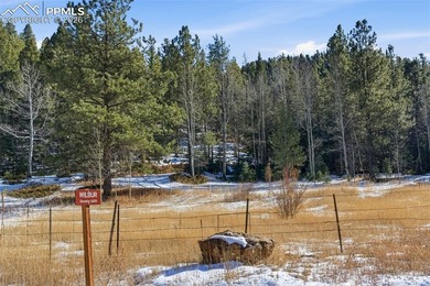 Lake Acreage For Sale in Penrose, Colorado