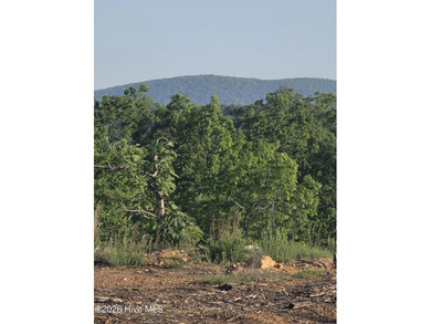 Fifteen miles of open sky from the upper ridge. A creek-fed - photo 2