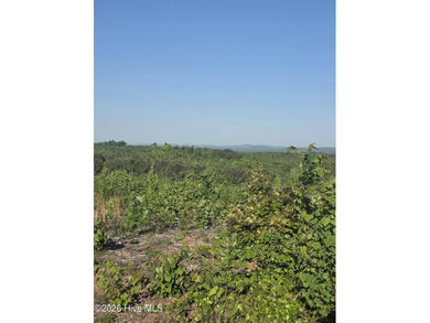Fifteen miles of open sky from the upper ridge. A creek-fed - photo 3