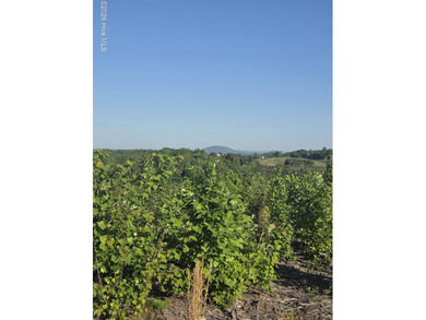 Fifteen miles of open sky from the upper ridge. A creek-fed - photo 6