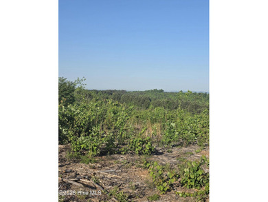 Fifteen miles of open sky from the upper ridge. A creek-fed - photo 7