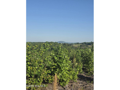 Fifteen miles of open sky from the upper ridge. A creek-fed - photo 8