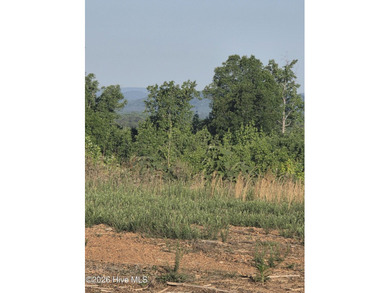 Fifteen miles of open sky from the upper ridge. A creek-fed - photo 9