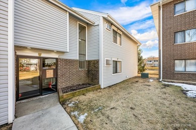 (private lake, pond, creek) Condo For Sale in Palatine Illinois