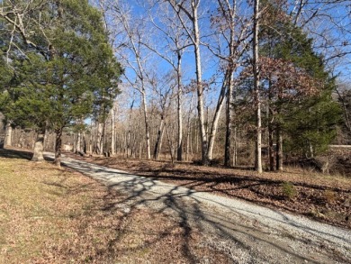 Motivated Seller!  Have Chickens,? Wanna HUNT from your Property? - photo 12