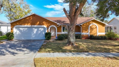 (private lake, pond, creek) Home For Sale in New Port Richey Florida