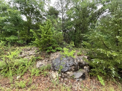 Table Rock Lake Lot For Sale in Hollister Missouri