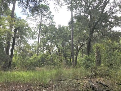 Beautiful waterfront acreage on North Bay and Fanning Bayou - photo 11