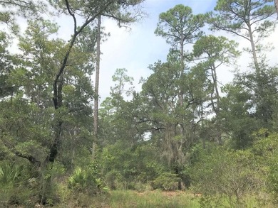 Beautiful waterfront acreage on North Bay and Fanning Bayou - photo 12