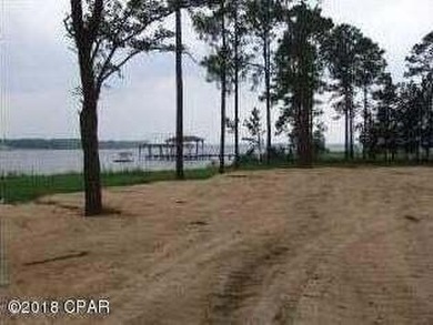 Beautiful waterfront acreage on North Bay and Fanning Bayou - photo 13
