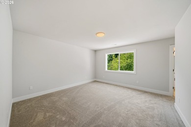 Beautiful new Traditional home backing to serene greenspace - photo 25
