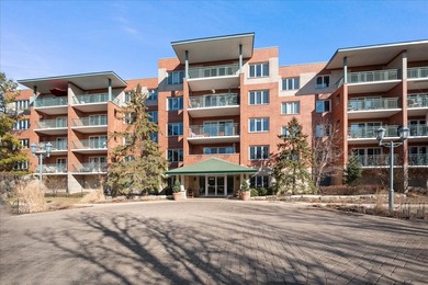 (private lake, pond, creek) Condo For Sale in Chicago Illinois