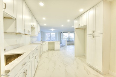 Step into luxury lake-front living in this totally renovated 2/3 - photo 8