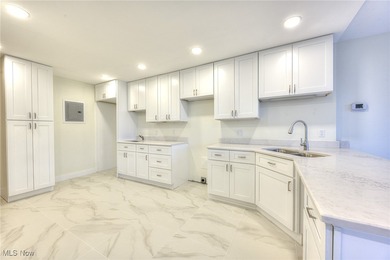 Step into luxury lake-front living in this totally renovated 2/3 - photo 9