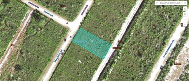 Lake Weohyakapka Lot For Sale in Indian Lake Estates Florida
