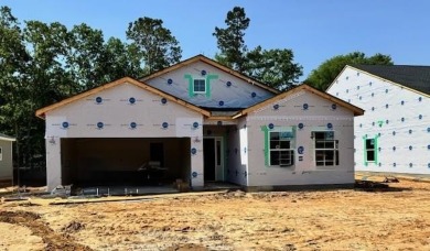 Lake Home For Sale in Manning, South Carolina