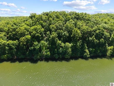 Don't miss this opportunity to own a beautiful 1.03-acre - photo 11