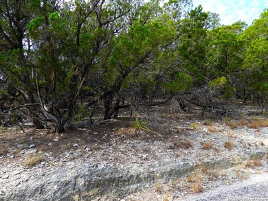 Discover beautifully secluded lots with waterfront on Elm Cove - photo 13