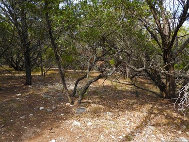 Discover beautifully secluded lots with waterfront on Elm Cove - photo 15