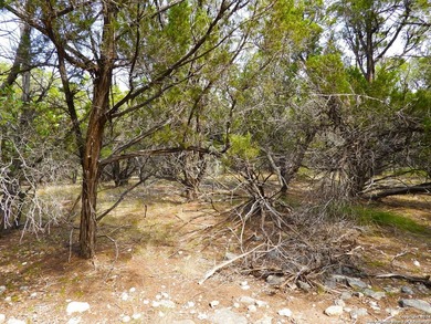 Discover beautifully secluded lots with waterfront on Elm Cove - photo 16