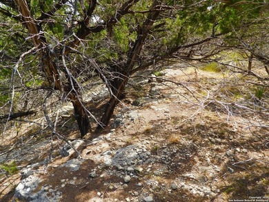 Discover beautifully secluded lots with waterfront on Elm Cove - photo 20