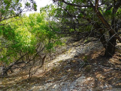 Discover beautifully secluded lots with waterfront on Elm Cove - photo 21
