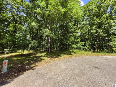 Don't miss this opportunity to own a beautiful 1.03-acre - photo 21