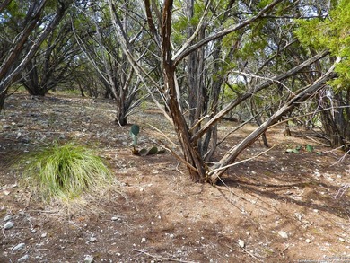 Discover beautifully secluded lots with waterfront on Elm Cove - photo 22