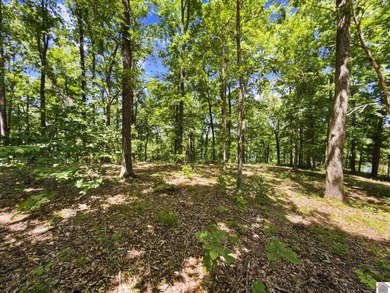 Don't miss this opportunity to own a beautiful 1.03-acre - photo 22