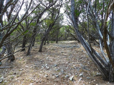 Discover beautifully secluded lots with waterfront on Elm Cove - photo 23