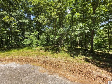 Don't miss this opportunity to own a beautiful 1.03-acre - photo 25
