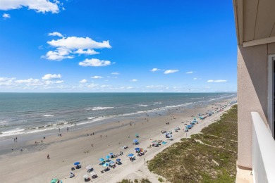 Please pause your search to check out the fine details of this