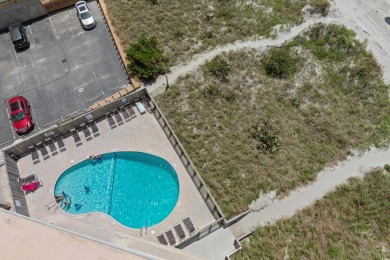 Please pause your search to check out the fine details of this