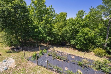 Experience unparalleled lakeside living in this magnificent - photo 47