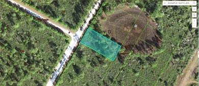 Lake Weohyakapka Lot For Sale in Indian Lake Estates Florida