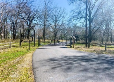 Lake Acreage For Sale in Pittsburg, Texas