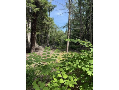 Rare opportunity to own 1.41 acres on beautiful Peaks Island - photo 3