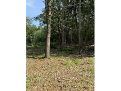 Rare opportunity to own 1.41 acres on beautiful Peaks Island - photo 4