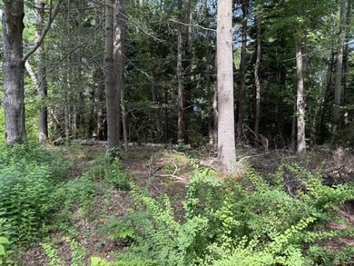 Rare opportunity to own 1.41 acres on beautiful Peaks Island - photo 5