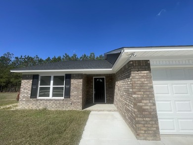 $6,000.00 in seller concessions being offered from the builder - photo 3